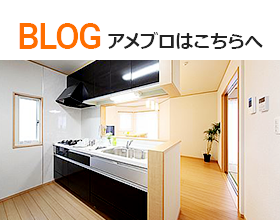 ameba